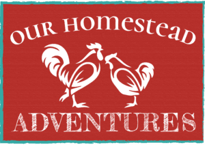 Our Homestead Adventures | Learning By Living