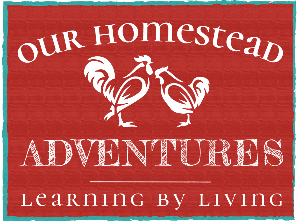 Our Homestead Adventures | Learning By Living