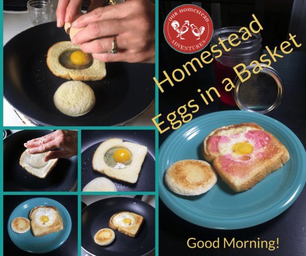 Homestead Eggs in a Basket Breakfast